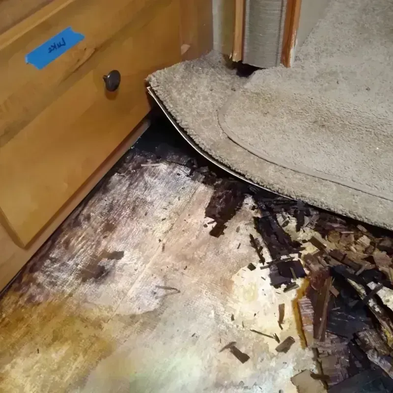 Wood Floor Water Damage in Ely, NV